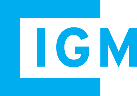 Logo IGM AS